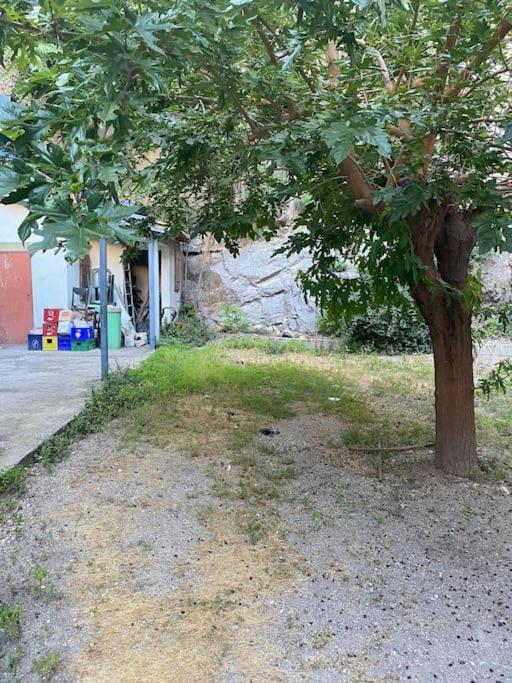 Appt 4 Pers Avec Jardin Ombrage En Centre Ville De Sete Luaran gambar